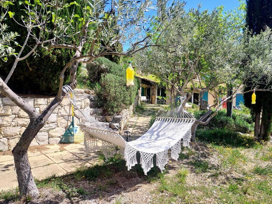 La Maison De Ninia Digne-les-Bains Luaran gambar