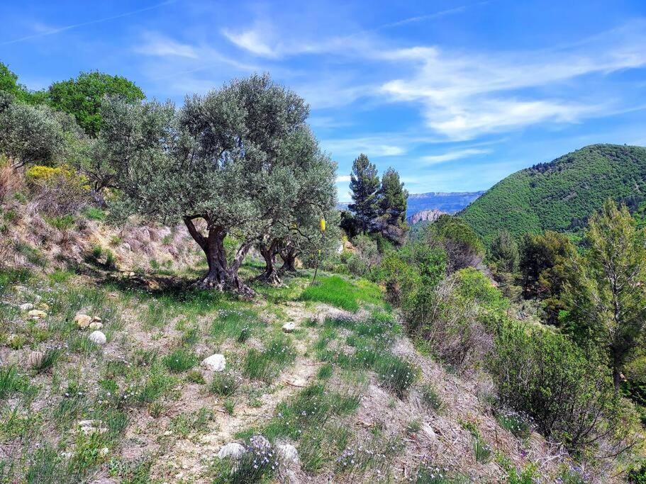 La Maison De Ninia Digne-les-Bains Luaran gambar